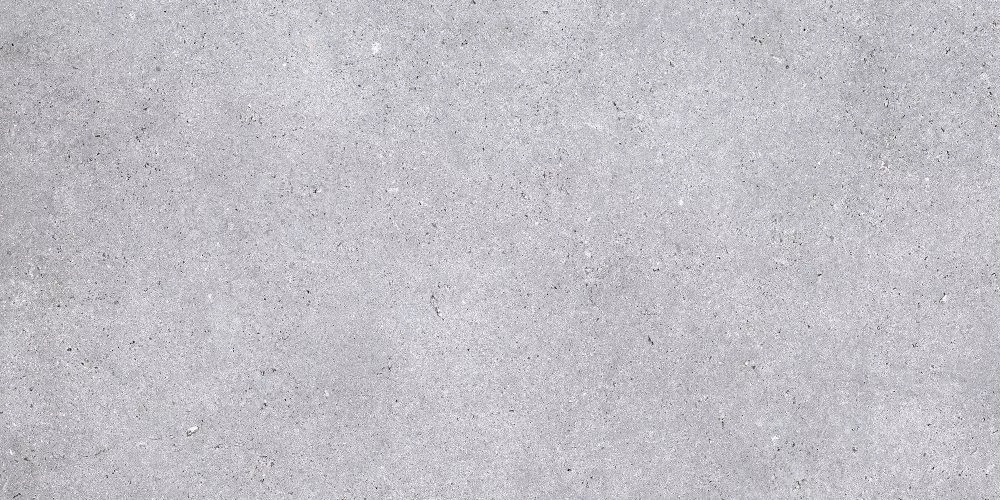 Купить Керамогранит Primavera Nemo Light Grey 60x120 см (NR211)