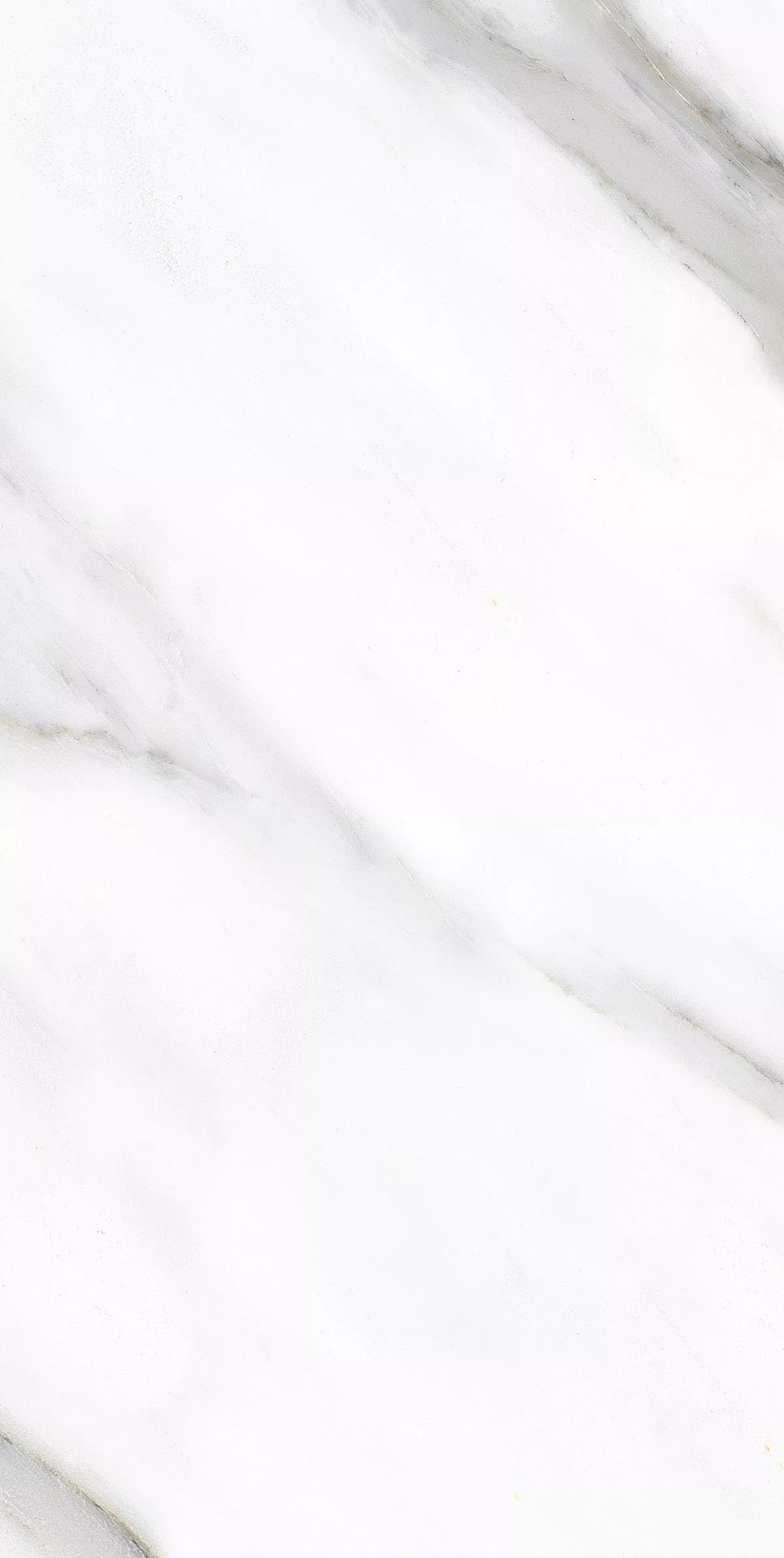 Купить Керамогранит Primavera Pirgos White Polished 60х120 см (PR233)