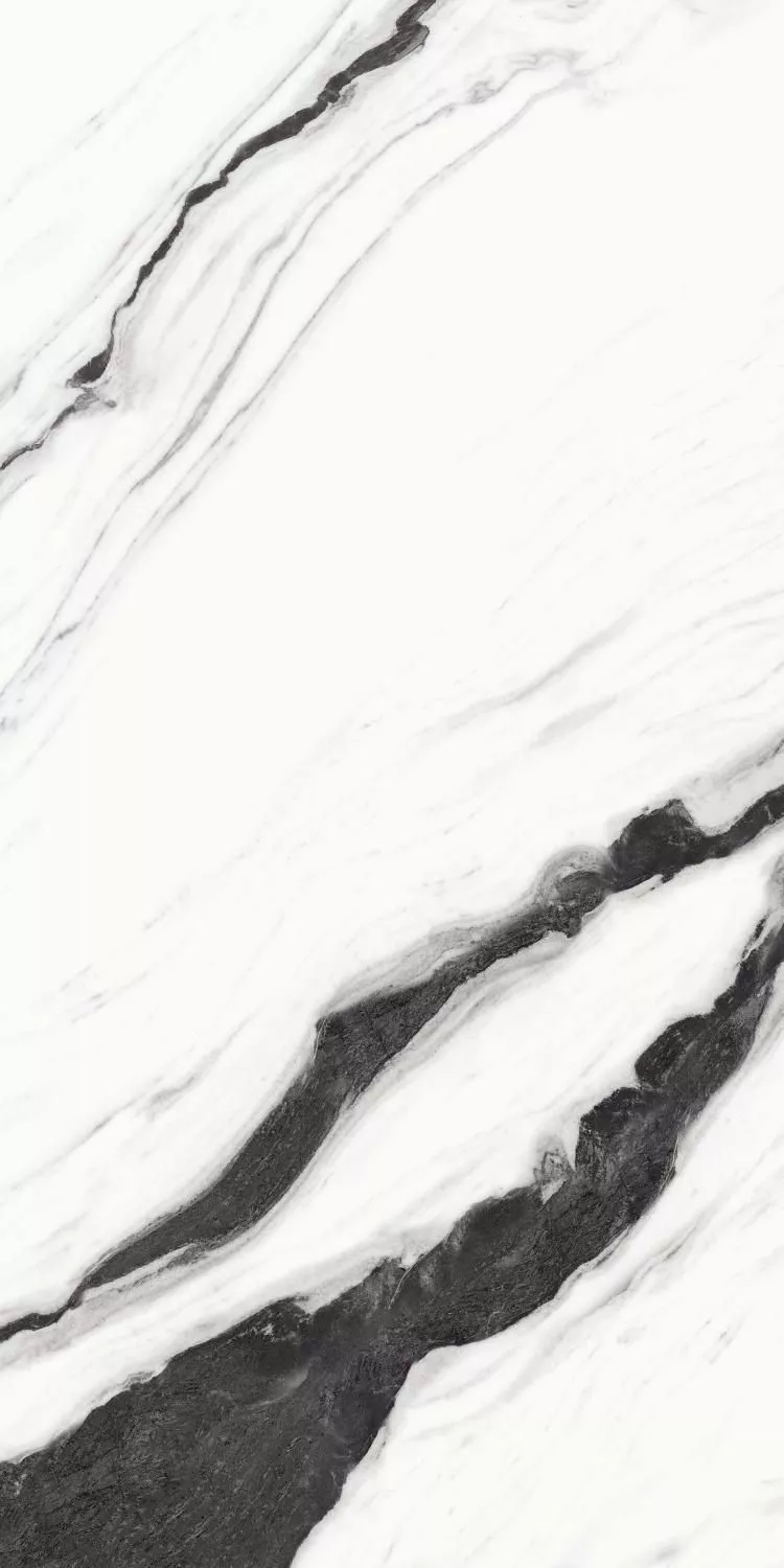 Купить Керамогранит ARTCER Eco Panda White 9 mm POLI 60x120