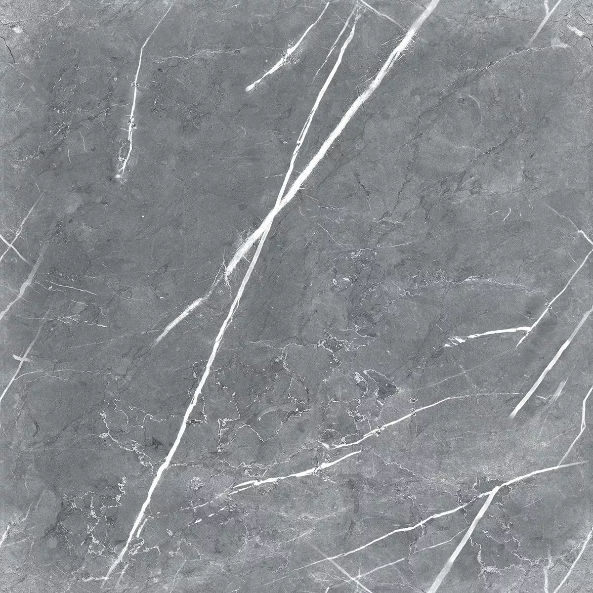 Купить Керамогранит Royce Carnico Grey Polished 60x60 см (R_PR1019)