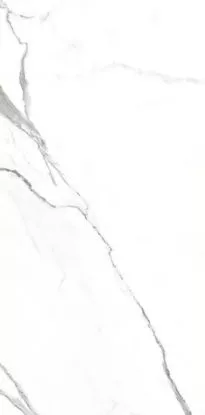 Купить Керамогранит Primavera  Dalim White NR235 1200х600 мм.