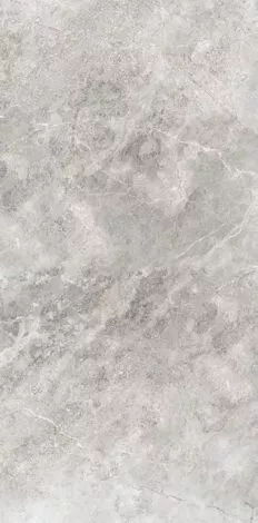 Купить Керамогранит Primavera  Flurry Caramel LC204 1200х600 мм.