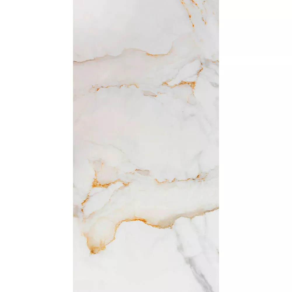 Купить Керамогранит CERAMICOM ELEGANT 60x120 см (ELEGANT)