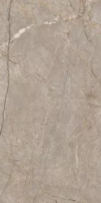 Керамогранит A17124 Futura (Футура) тонкий Silver Roots серый ректификат  60х120, Cersanit