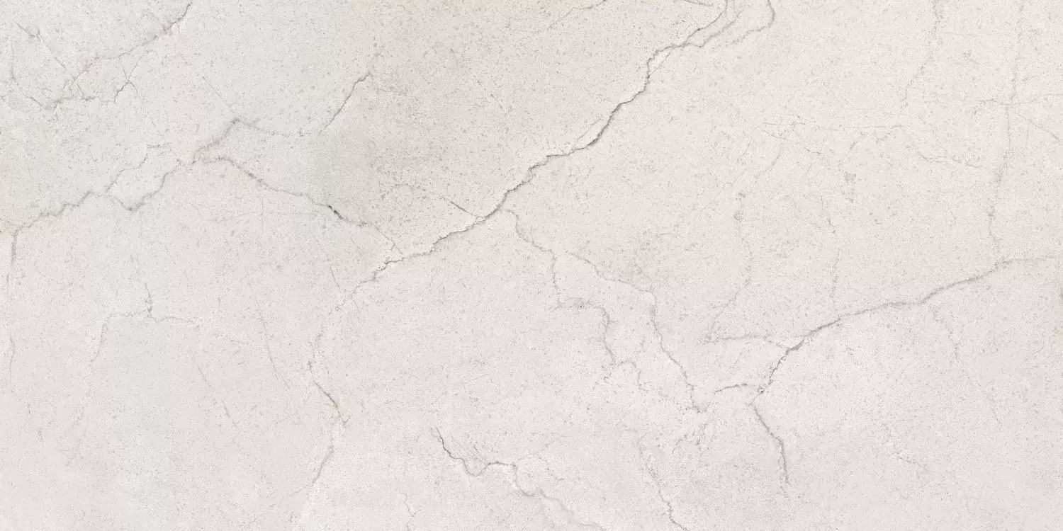Купить Керамогранит Maimoon Ceramica  Glossy Flority ash 120х60