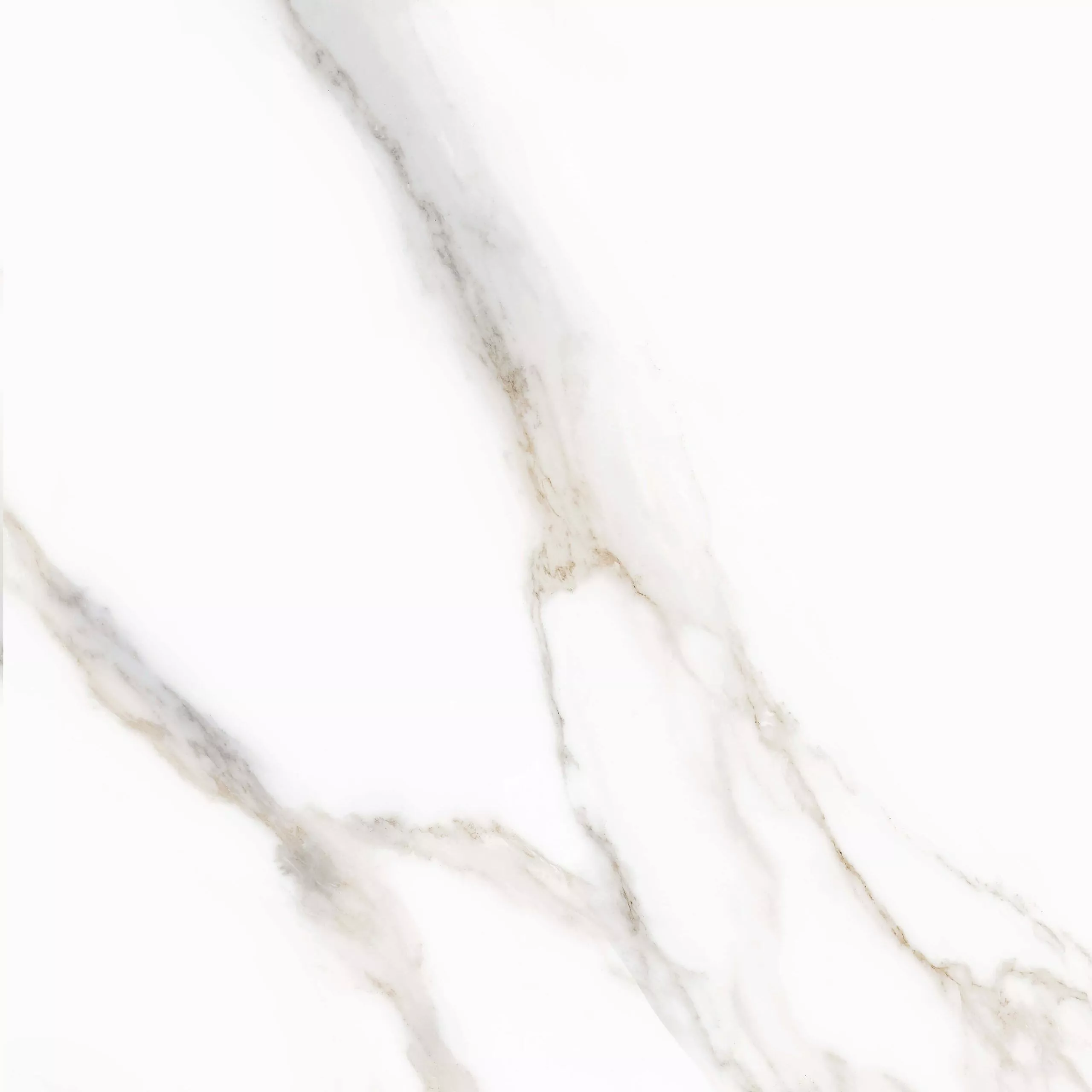Купить Керамогранит PARDIS Pelatin Polished 800х800 мм