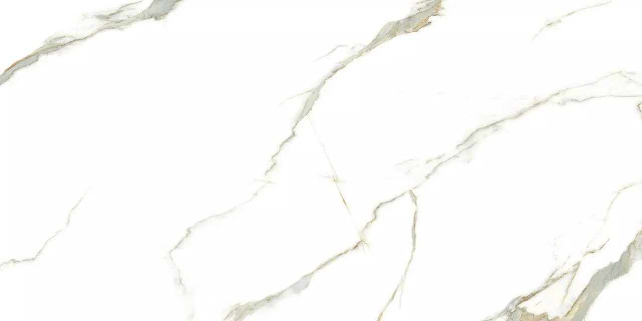 Купить Керамогранит Bianco Carrara Classico Llamarada Rectificado 60x120