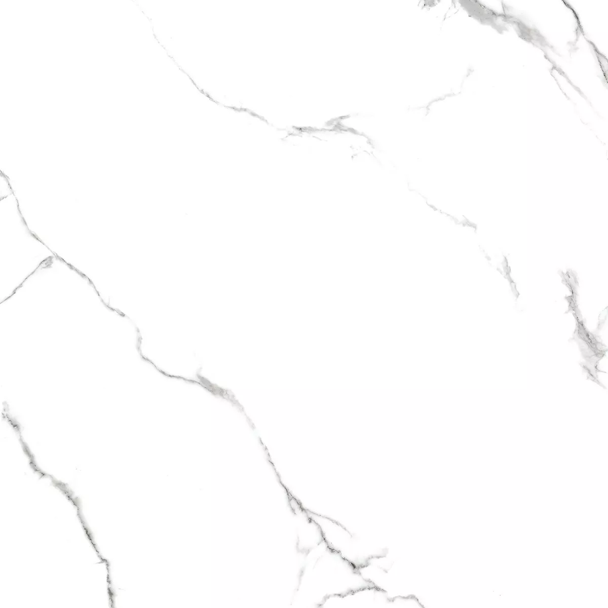 Купить Керамогранит Royce Calacatta Venatino Matt 60x60 см (R_NR1001)