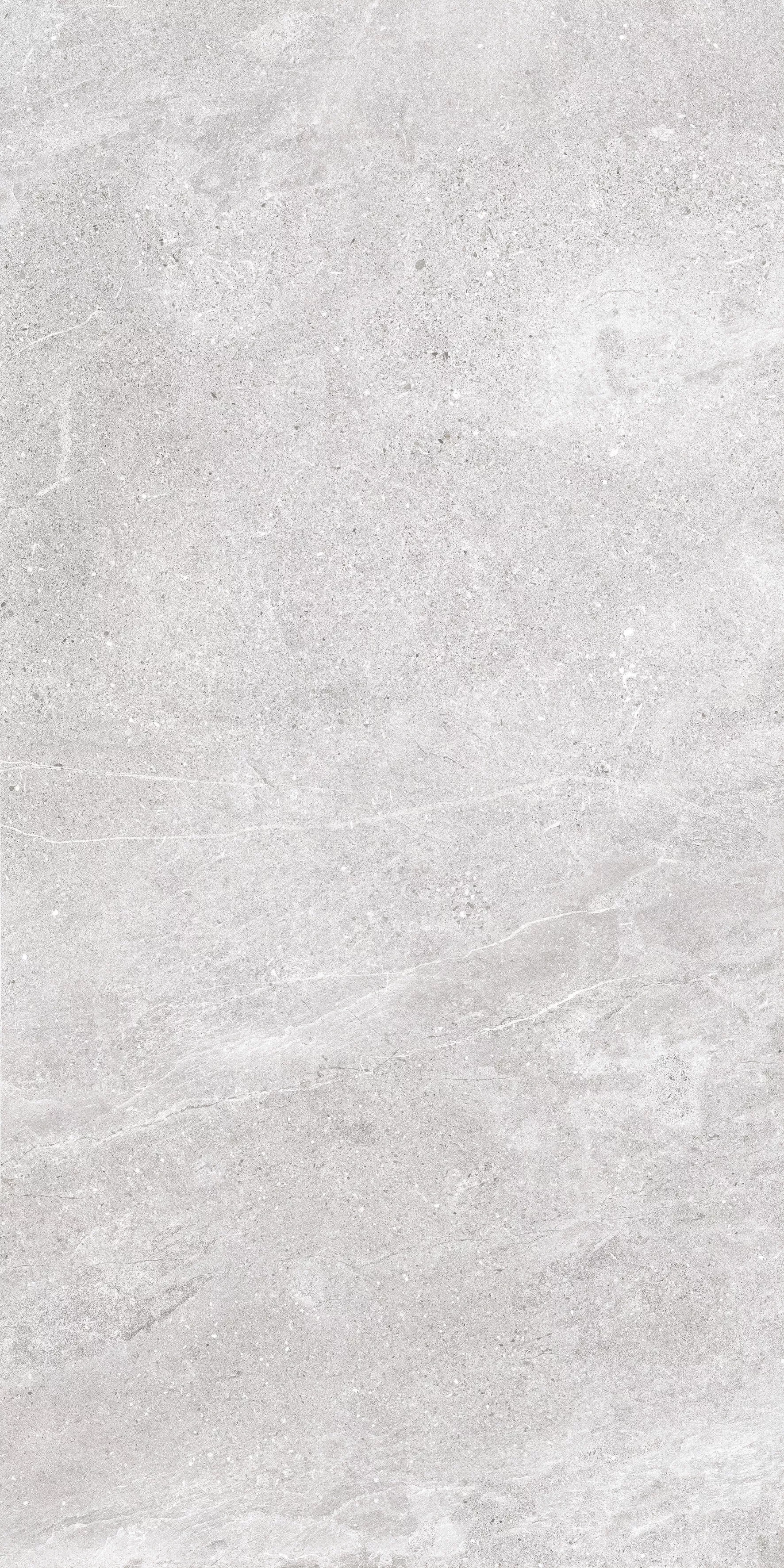 Купить Керамогранит Ibero Lune Grey MATE 60x120