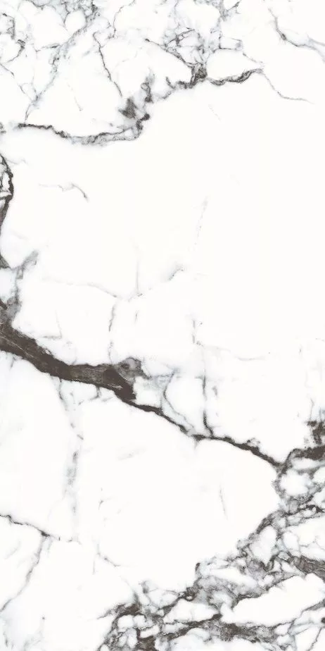 Купить Керамогранит Primavera Blanco Tranco 60x120 см (CR206) с доставкой Купить Керамогранит Primavera Blanco Tranco 60x120 см (CR206)
