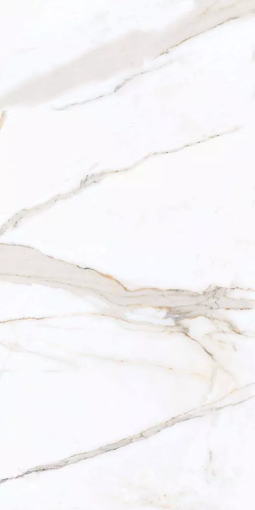 Купить Керамогранит Primavera Regal Carara 60x120 см (PR203)