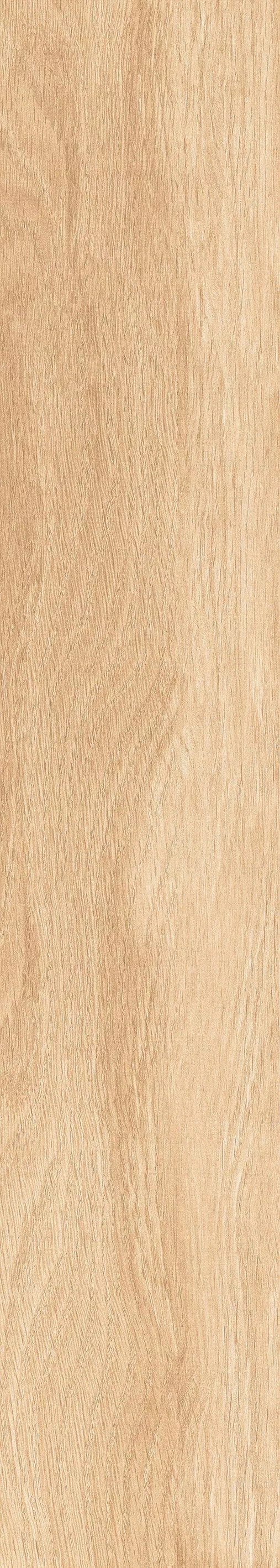 Купить Керамогранит ARTCER Wood Torino Honey MATE 20x120