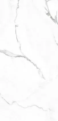 Купить Керамогранит Primavera  Dalim White NR235 1200х600 мм.