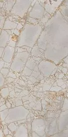 Купить Керамогранит Primavera Golden Black 60x60 см (GR101)