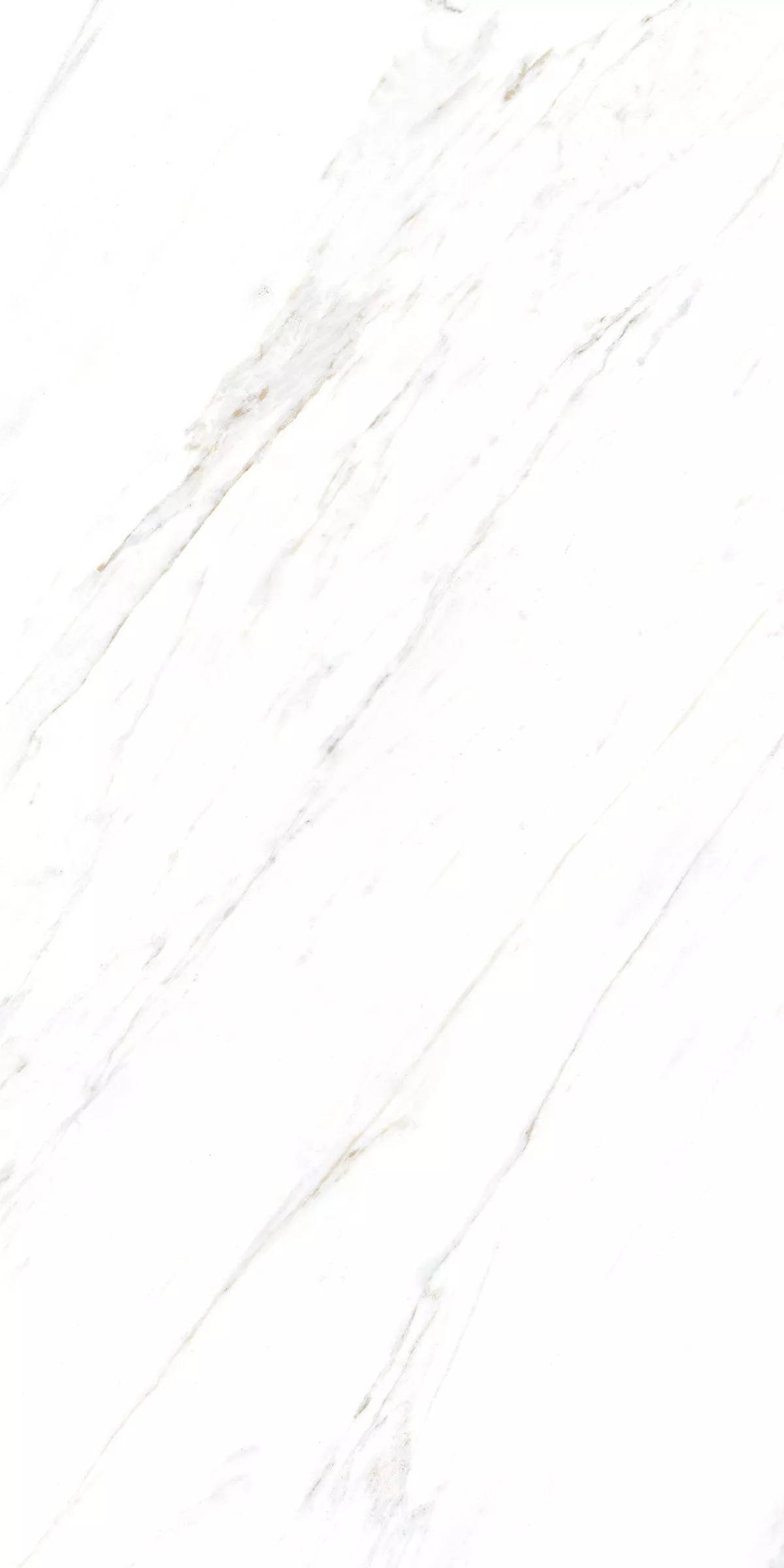 Купить Керамогранит ARTCER Marble Calacatta Caldia 9 mm POLI 60x120