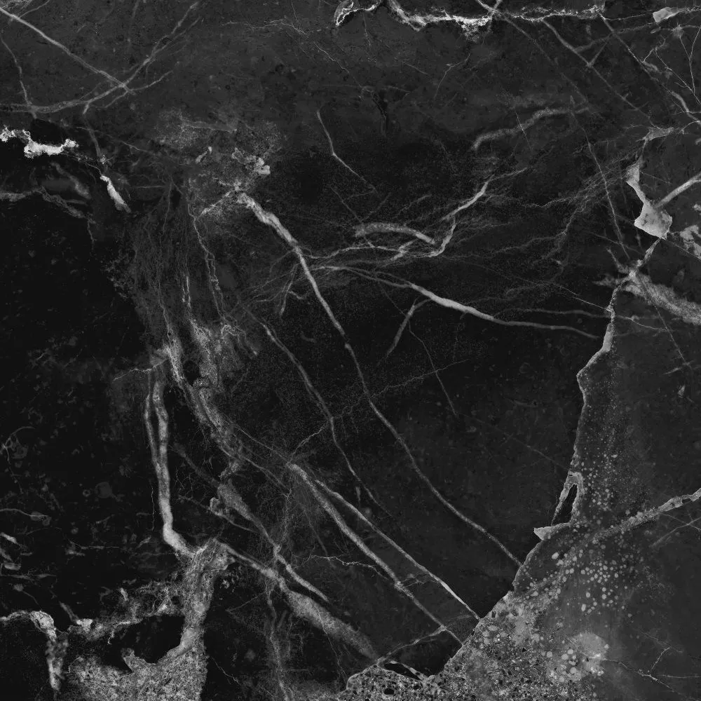 Купить Керамогранит Primavera Dalim Black 60x60 см (NR105)