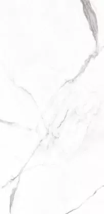 Купить Керамогранит Primavera  Dalim White NR235 1200х600 мм.