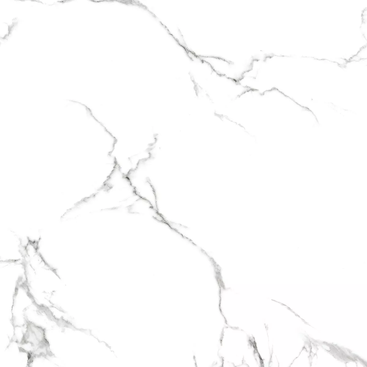 Купить Керамогранит Royce Calacatta Venatino Polished 60x60 см (R_PR1001)
