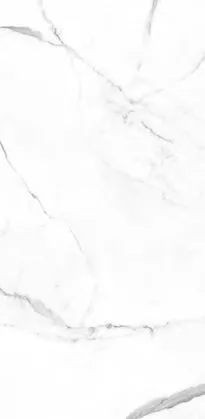 Купить Керамогранит Primavera  Dalim White NR235 1200х600 мм.