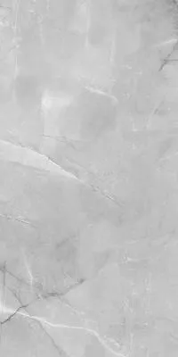 AB 1142G Armani Silver полированный 120х60, Absolut Gres