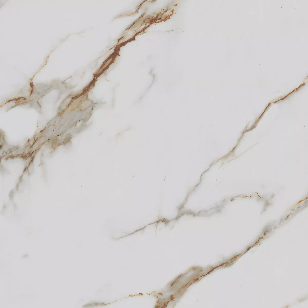 Купить Керамогранит Royce Calacatta Gold Polished 60x60 см (R_PR1003)