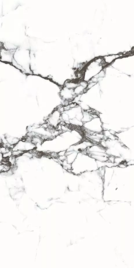Купить Керамогранит Primavera Blanco Tranco 60x120 см (CR206) с доставкой Купить Керамогранит Primavera Blanco Tranco 60x120 см (CR206)