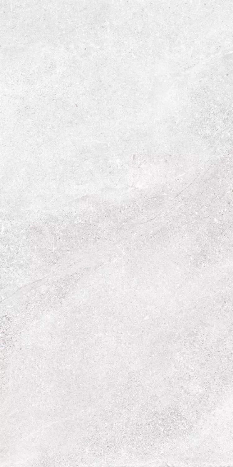 Купить Керамогранит Ibero Lune Ice MATE 60x120