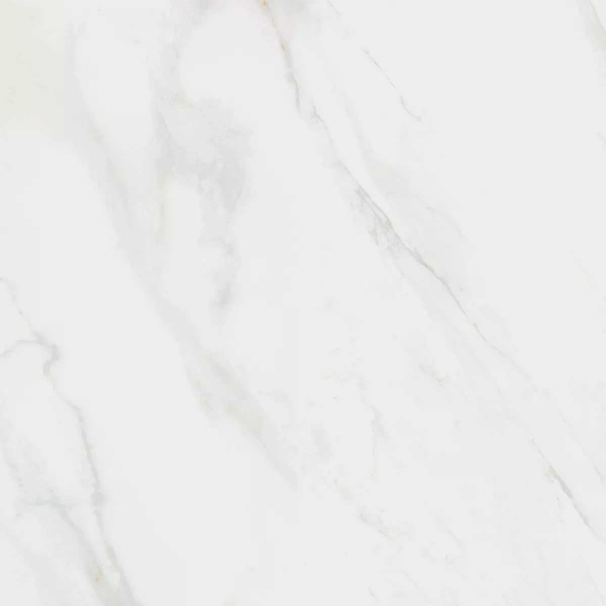 Купить SG457120R Гран Пале белый обрезной керамогранит 50,2x50,2, Kerama Marazzi
