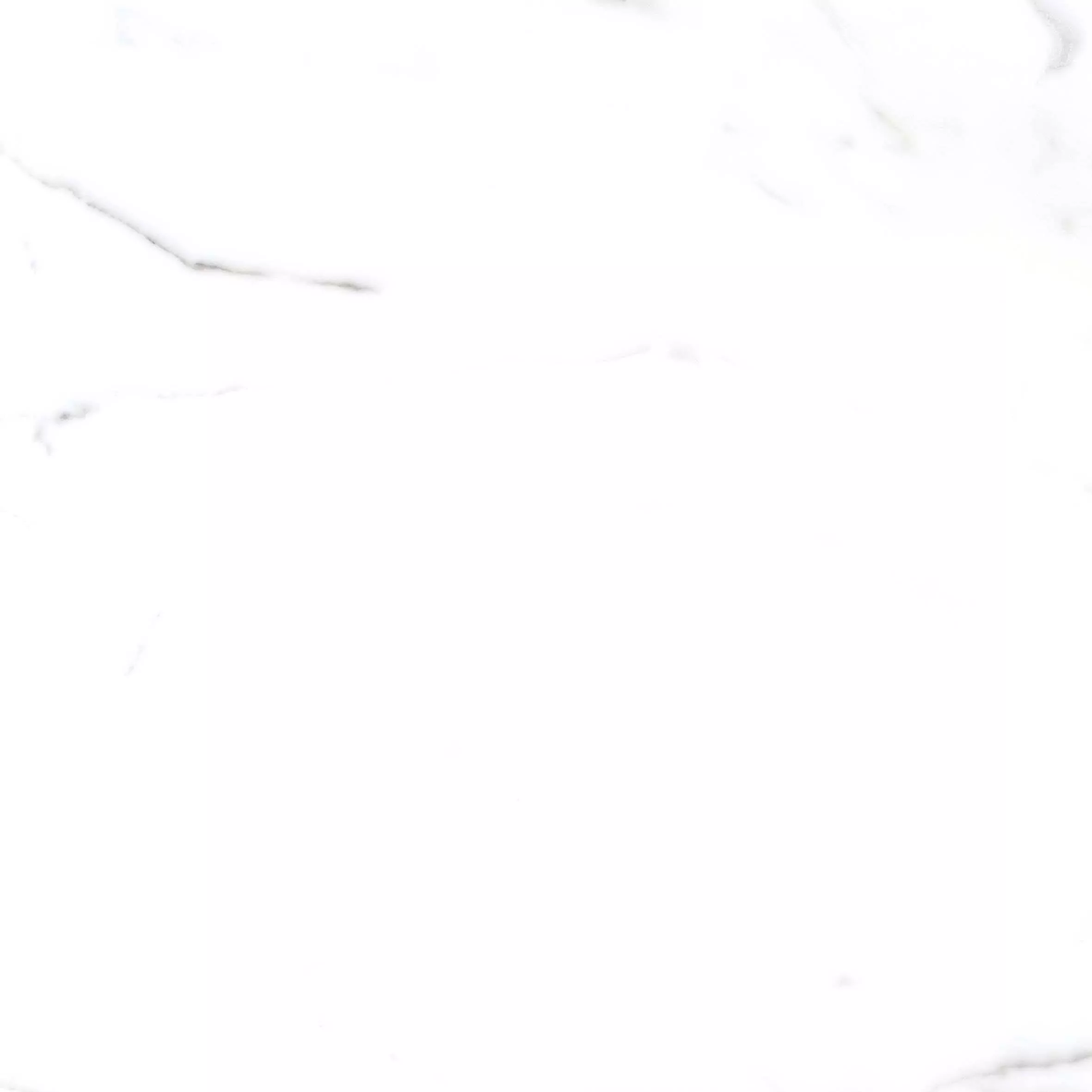 Купить Керамогранит Primavera Salvatore Carving 60x60 см (CR117)