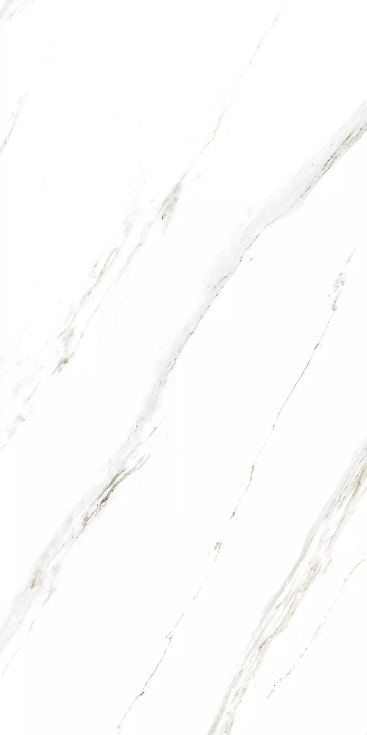 Купить Керамогранит ARTCER Marble Calacatta Caldia 9 mm POLI 60x120
