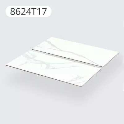 Керамогранит CERAMICOM SANTA 60x120 см (8624T17)