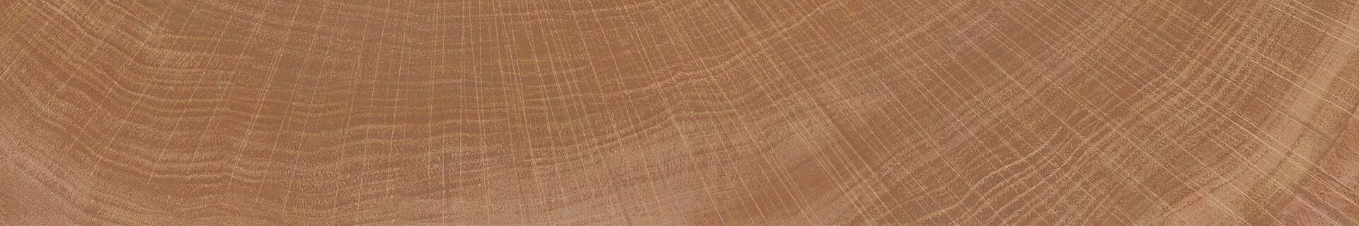 Купить Керамогранит Ibero Artwood Nut MATE 20x120