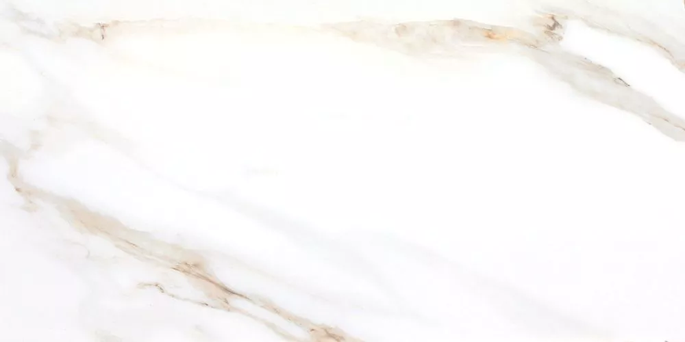 Купить Керамогранит CERAMICOM ARMINA 60x120 см (9514T33)