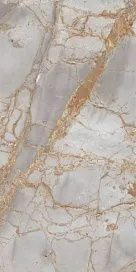 Купить Керамогранит Primavera Golden Black 60x60 см (GR101)