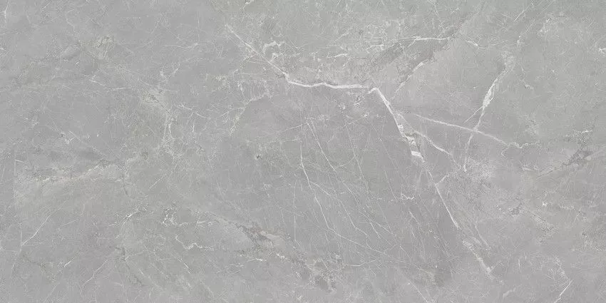 Купить Керамогранит Fior di Bosco Silver Rectificado 60x120