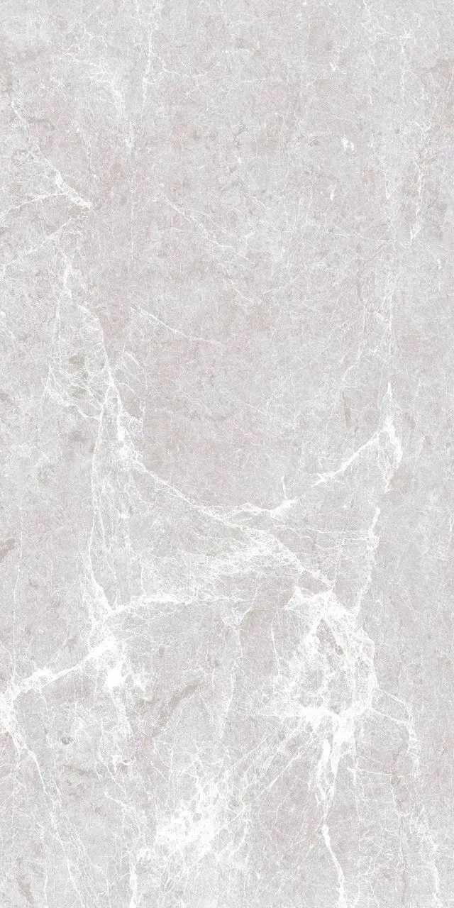 Купить Керамогранит ARTCER Eco Spider Grey 5.5 mm POLI 60x120