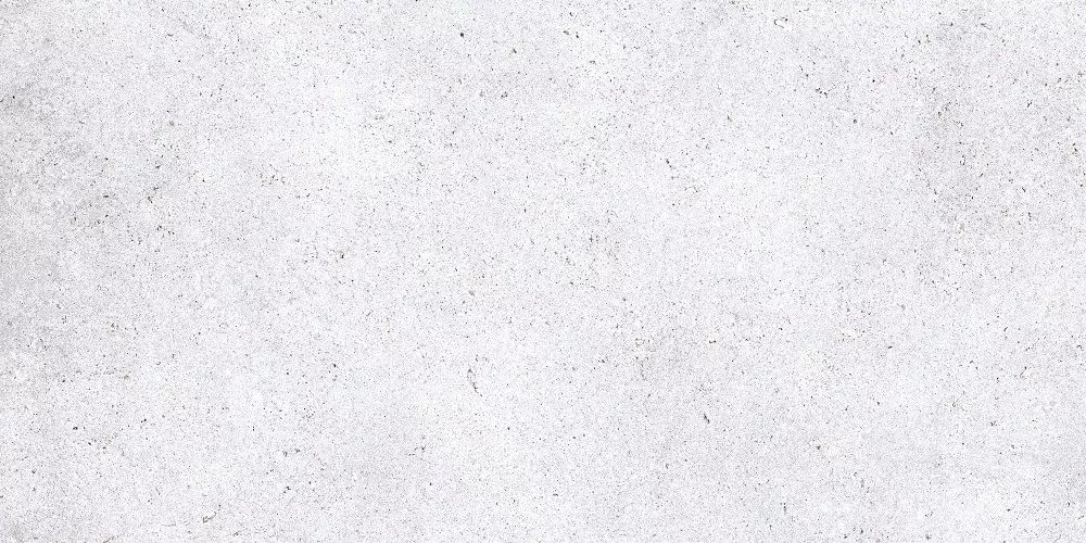 Купить Керамогранит Primavera Nemo White 60x120 см (NR212)