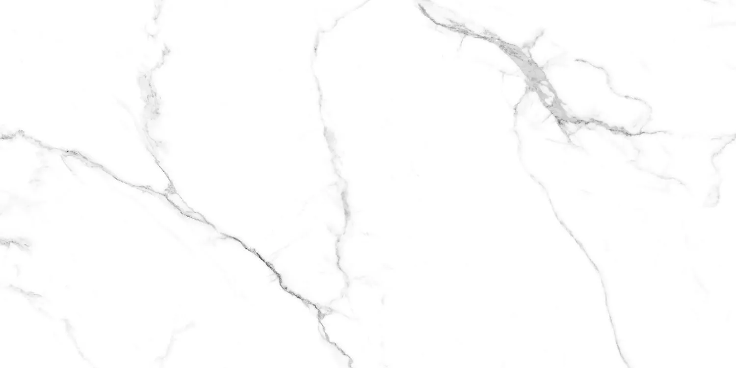 Купить Керамогранит Maimoon Ceramica  Glossy Caribbean white 120х60