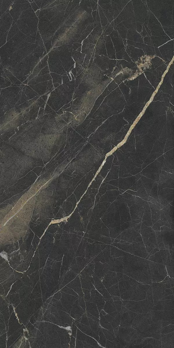Купить AB 3119G Creato full lappato 120x60, Absolut Gres