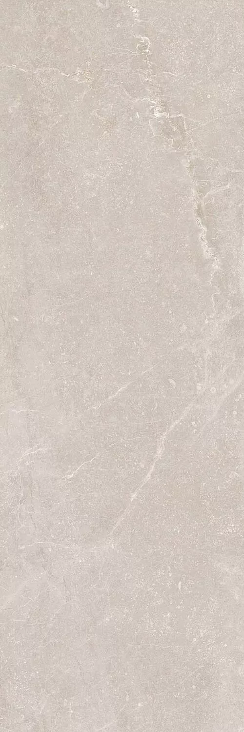 Купить Настенная плитка Keraben Bleuemix Taupe MATE 40x120