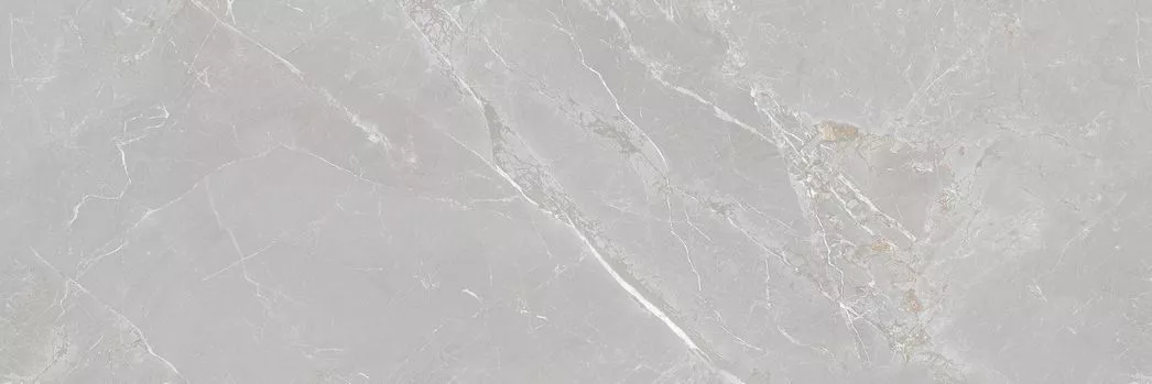 Купить Керамическая плитка Fior di Bosco Silver Rectificado 30x90
