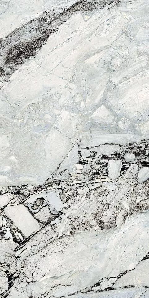 Купить Керамогранит Primavera Stoneart Metal 60x120 см (CR216) с доставкой Купить Керамогранит Primavera Stoneart Metal 60x120 см (CR216)