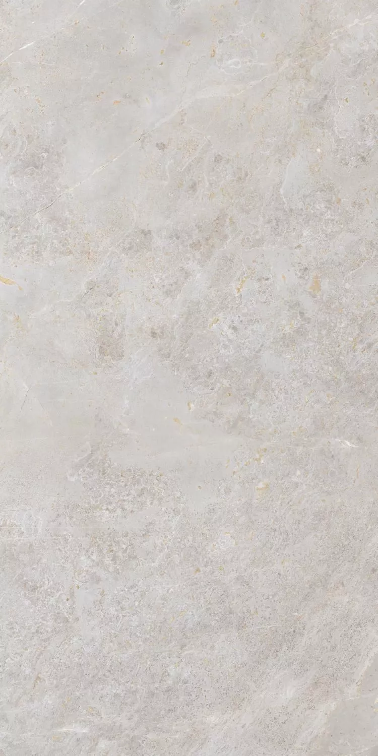 Купить Керамогранит ARTCER Stone Luish Grey CARV 60x120