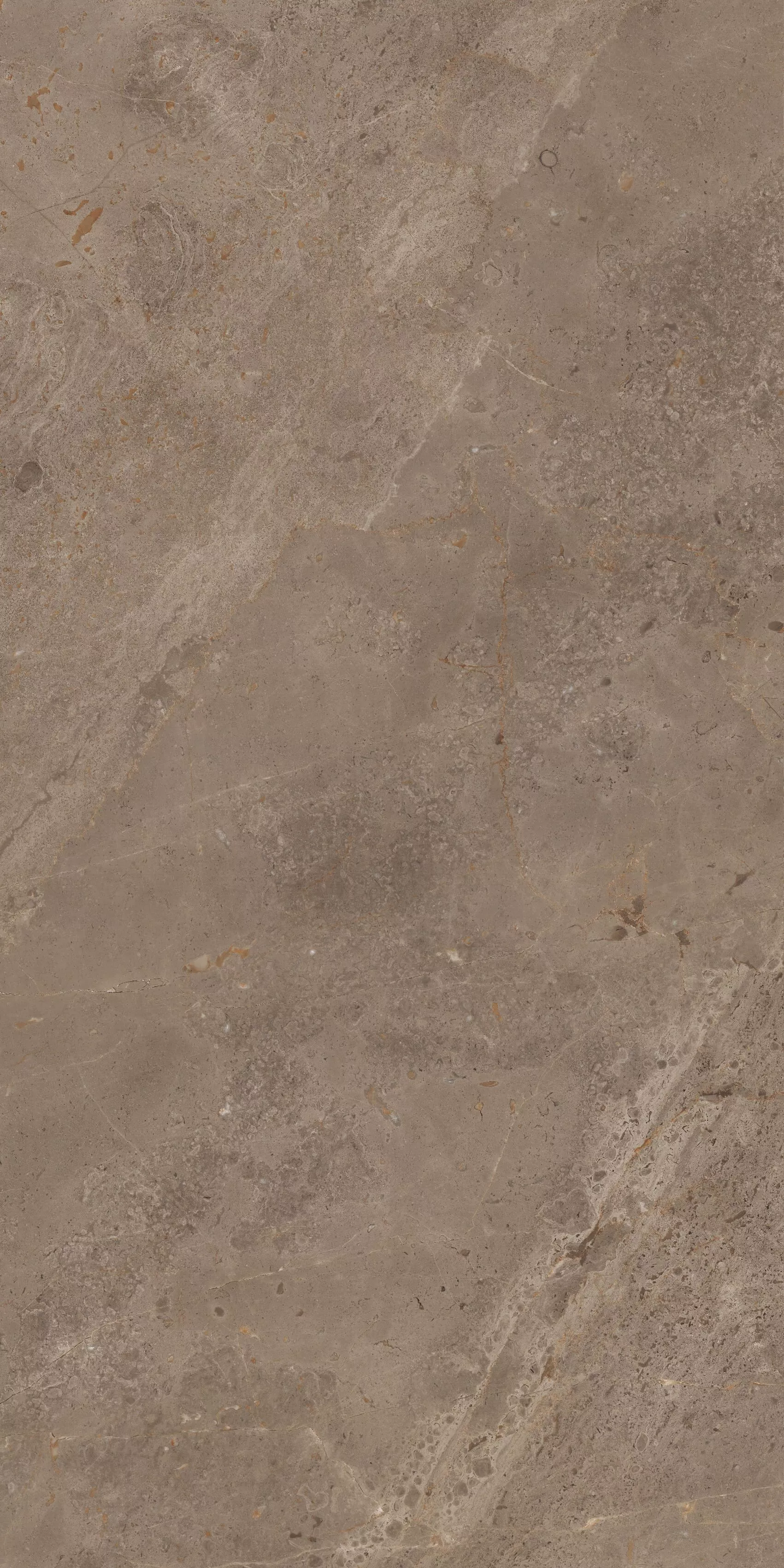 Купить Керамогранит ARTCER Stone Luish Brown CARV 60x120