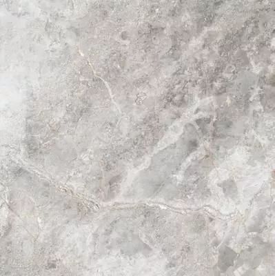 Керамогранит Primavera  Flurry Caramel LC204 1200х600 мм.