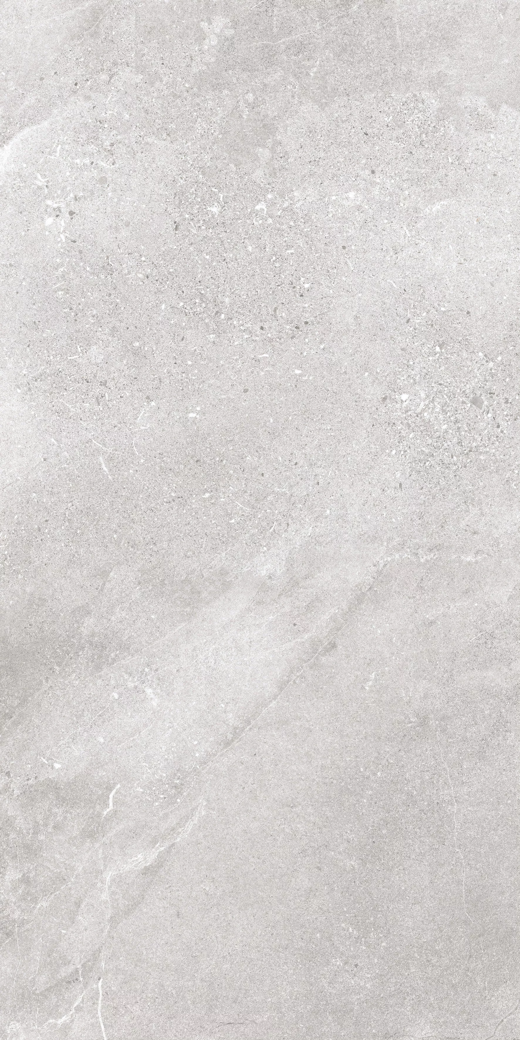 Купить Керамогранит Ibero Lune Grey MATE 60x120