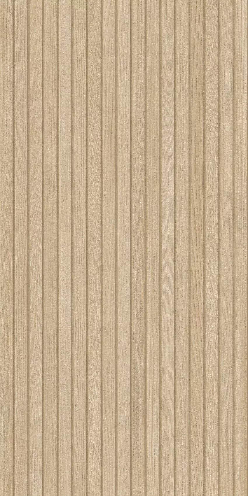 Купить Настенная плитка Keraben Poeme Concept Haya MATE 60x120