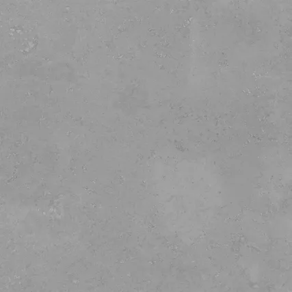 Купить Керамогранит Primavera  ТАЙКАН св.серый NG107 600х600 мм.