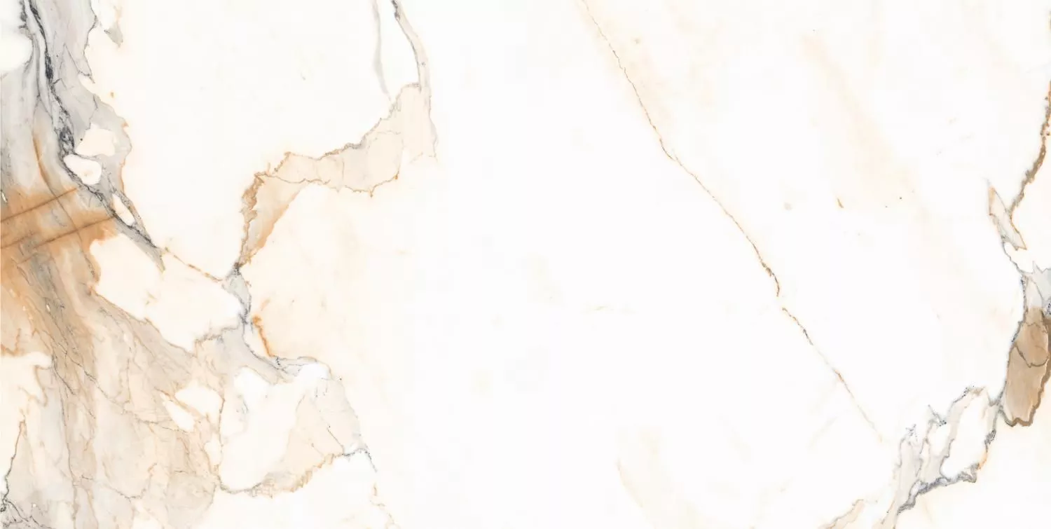 Купить Керамогранит Maimoon Ceramica  Carving 12161R 120x60