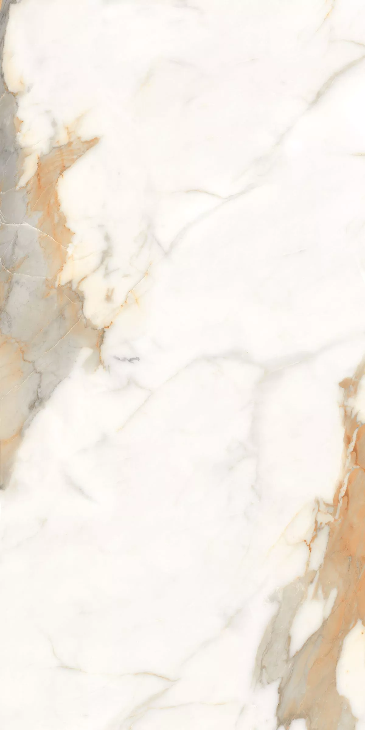 Купить Керамогранит ARTCER Marble Calacatta Gold 9 mm POLI 60x120